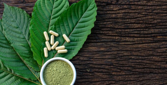 How To Find The Best Kratom Strains For Your Needs – 2023 Guide