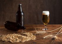 5 Ways to Know If Your Homemade Beer Has Gone Bad – 2021 Guide