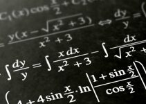 All About the World of Polynomials in 2022