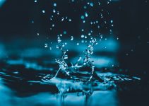 Rain Water vs Tap Water: What’s the Difference?