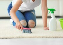 How Often Should You Clean Your Rugs – 2021 Guide
