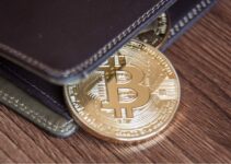 Why Do You Need a Bitcoin Wallet?
