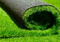 5 Crucial Points To Know About Artificial Turf