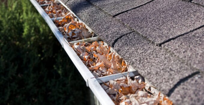 How do You Know if Your Gutters Need Cleaning