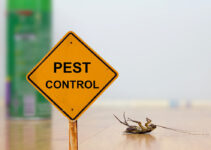 How to Implement a Successful Pest Control Program?