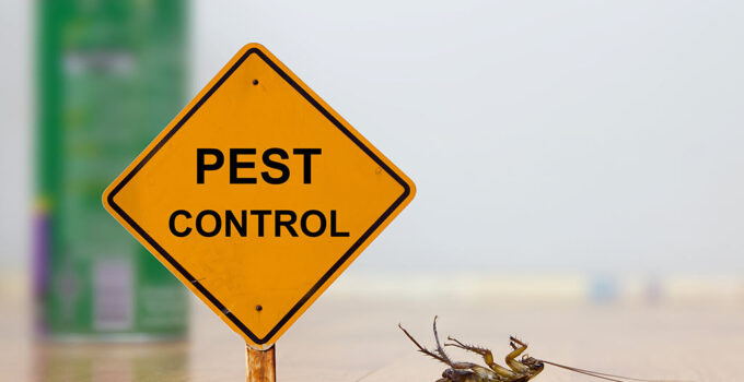How to Implement a Successful Pest Control Program?