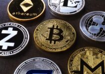 Things You Need to Know About the World of Cryptocurrency