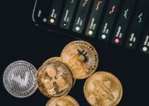The Influence Of Bitcoin On Other Cryptocurrencies