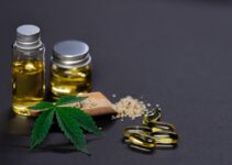 5 Key Points To Check Before Buying Your CBD Product