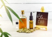 WHO Recognized CBD as a Natural and Effective Solution – but What About CBD for Toothache Relief?