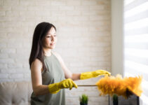 Control Indoor Allergens With These 6 Steps