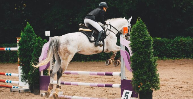 Horse Jumping = Horse Riding on Steroids