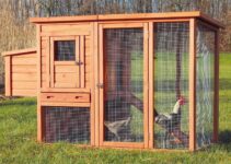 How Do You Set Up A Chicken Coop?
