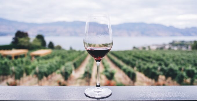 Top 11 Wine Tasting Tours in Margaret River To visit in 2022