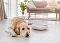 Is Your Dog’s Hair Too Long For A Robot Vacuum? – Guide 2023