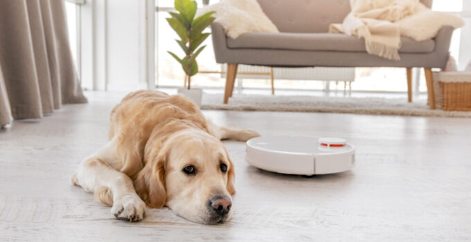 Is Your Dog’s Hair Too Long For A Robot Vacuum? – Guide 2022