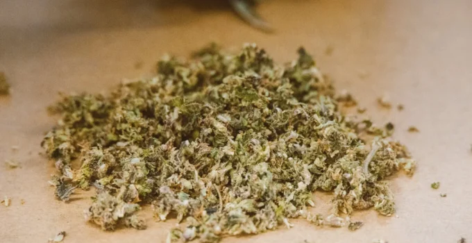 5 Best Marijuana Strains to Use for Perfect Puff