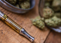 6 Tips For Choosing The Right Dab Pen