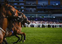 Andrew Balding: Royal Ascot Pointers for the Future