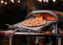 Gas vs Wood Pizza Oven: Which One to Choose? 2024 Guide