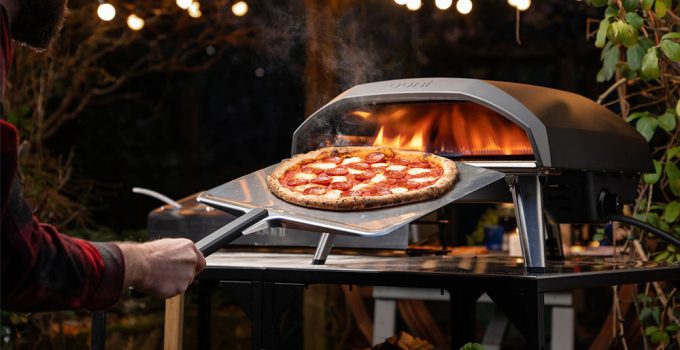 Gas vs Wood Pizza Oven: Which One to Choose? 2023 Guide