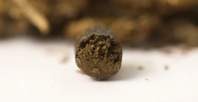 Introducing Hash CBD: Things You Need To Know
