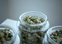 How to Properly Store Cannabis Buds to Make Them Last