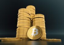 Will Bitcoin Ever Go Away?