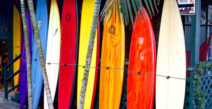 What Surfboard Should A Beginner Buy?
