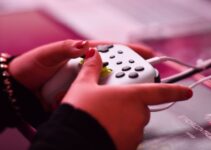 The Impact of Sex Simulator Games on the Adult Entertainment Industry