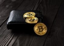 Do You Need a Wallet to Store Your Crypto?