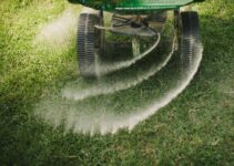 The Ultimate Guide to Lawn Fertilization: When, Why, and How to Feed Your Grass