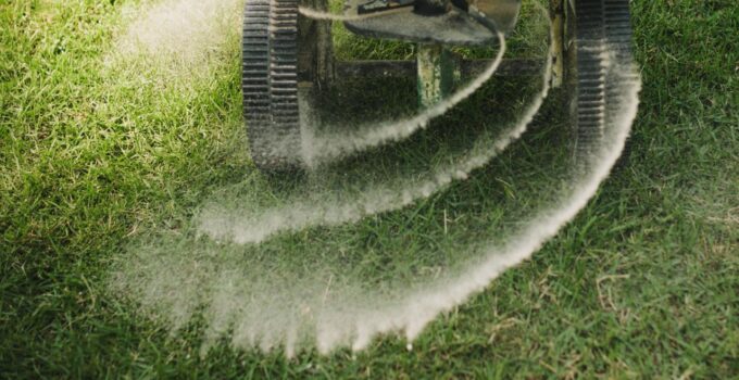 The Ultimate Guide to Lawn Fertilization: When, Why, and How to Feed Your Grass