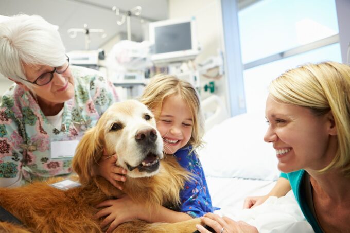Environments Where Therapy Dogs Thrive