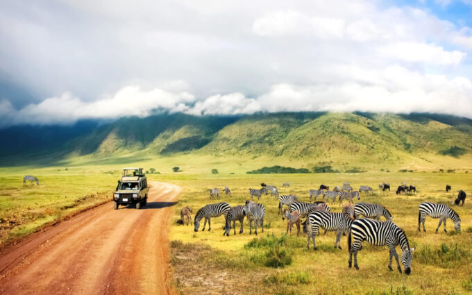 Top African Safari Destinations