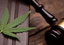 Decoding the Legal Discrepancy Between Tobacco and Cannabis Laws – 2023 Guide