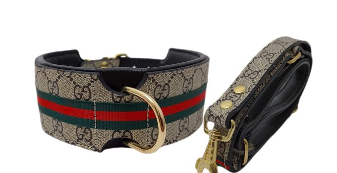Designer Dog Collars and Leashes: How to Elevate Your Pet’s Style Game