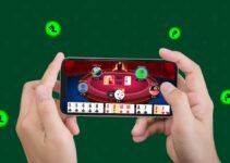 The Rise of Online Rummy: Explore the Growing Popularity of Online Rummy Platforms