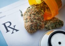 How Much Does It Cost to Apply for Medical Marijuana in Mississippi?