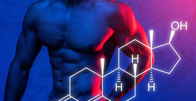 Exploring the Link Between Testosterone and Muscle Growth